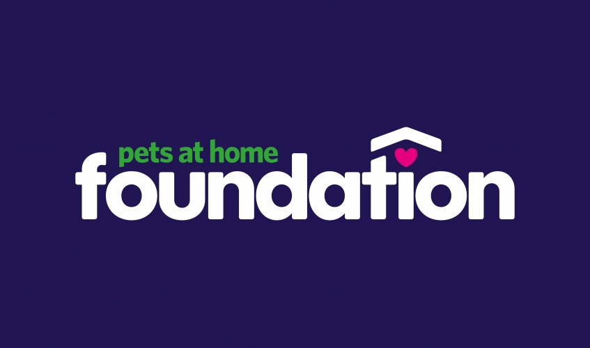 Lost our home pet hot sale foundation